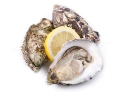 Oyster. Gallagher's Special (Ireland)