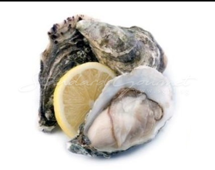 Oyster. (Irish Premium)
